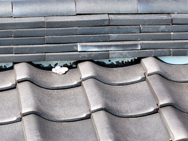 焼津市T様tokai_プラ面土施工前