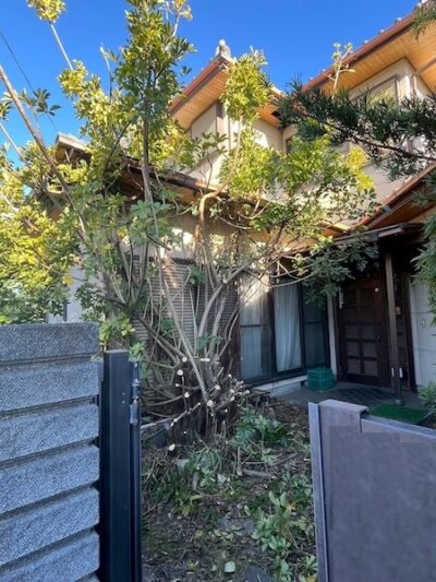 焼津市A様邸 木の伐採