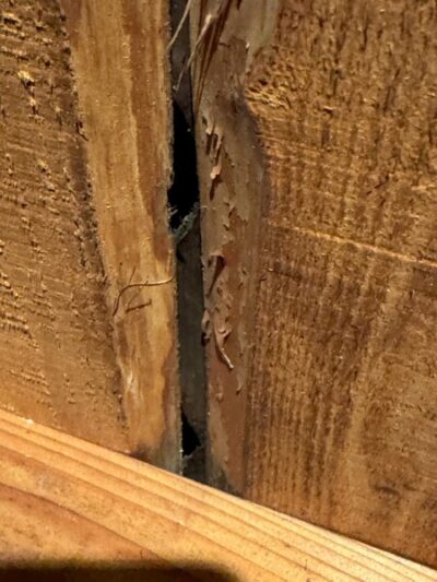 静岡県焼津市U様邸_破れたルーフィング