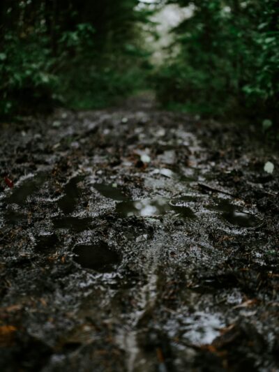 大雨